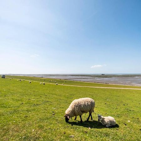 Hotel, Restaurant, Cafe Pharisaeerhof - Nordseeurlaub Mit Hund 北滩岛 外观 照片