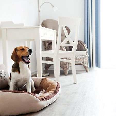 Hotel, Restaurant, Cafe Pharisaeerhof - Nordseeurlaub Mit Hund 北滩岛 外观 照片