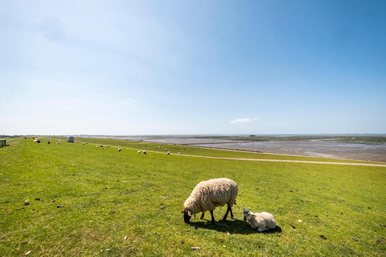 Hotel, Restaurant, Cafe Pharisaeerhof - Nordseeurlaub Mit Hund 北滩岛 外观 照片