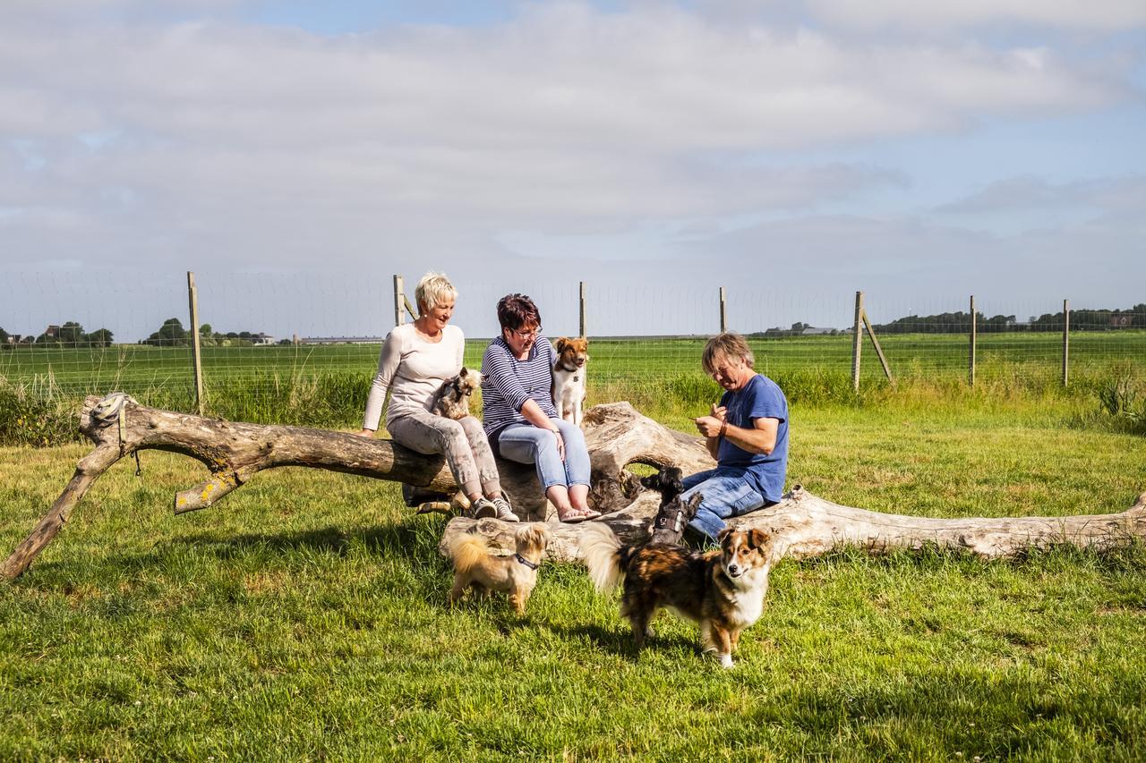 Hotel, Restaurant, Cafe Pharisaeerhof - Nordseeurlaub Mit Hund 北滩岛 外观 照片