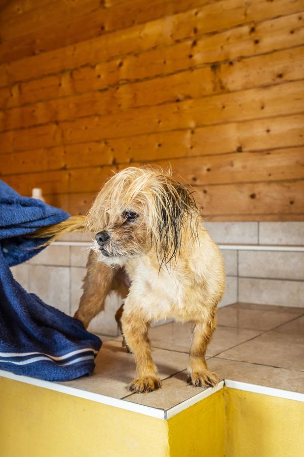 Hotel, Restaurant, Cafe Pharisaeerhof - Nordseeurlaub Mit Hund 北滩岛 外观 照片